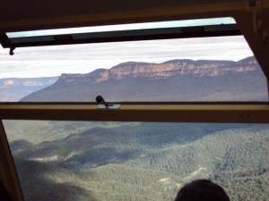 Another shot of nature