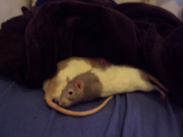 It's not what it looks like