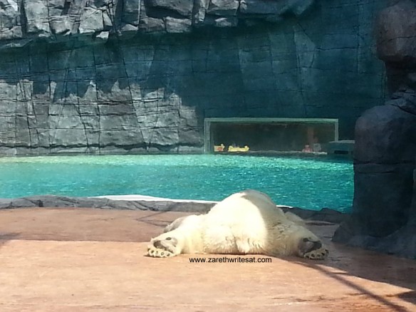 I know you tried looking for his arsehole